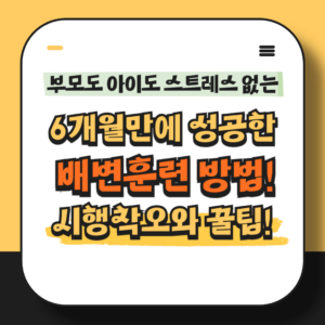 37개월 아기 6개월에 걸친 배변훈련 방법과 꿀팁, 시행착오